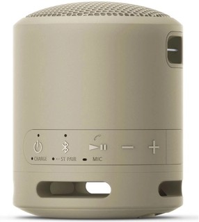Портативная акустика Sony SRS-XB13 Brown