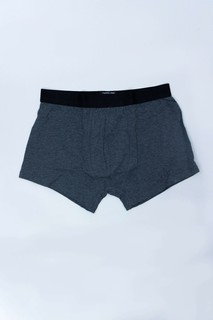 Трусы trunk Grey L AW23NS4N-44-19231 (Мужская одежда, Нижнее белье для мужчин)