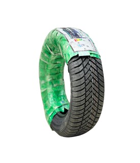Шины Greentrac 175/65/14 Winter Master D1